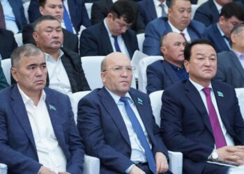 ТҮРКІСТАН ОБЛЫСЫНЫҢ ӘКІМІ ГЕРМАНИЯДАН КЕЛГЕН ИНВЕСТОРМЕН КЕЛІССӨЗ ЖҮРГІЗДІ